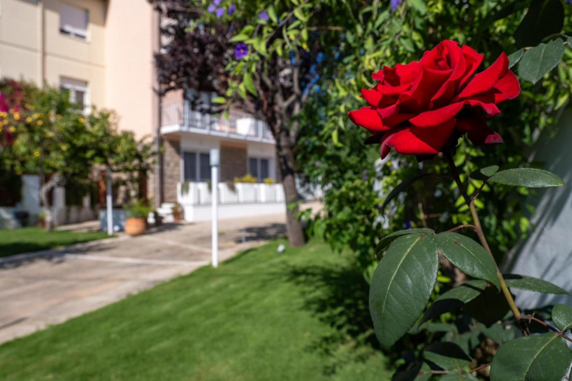 Nautika Suites Алгеро Екстериор снимка